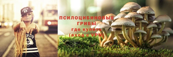дмт Алзамай